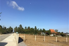 One Rai Land  For Rent! Only 5000 Baht Per Month or buy 5.5 Mil Baht